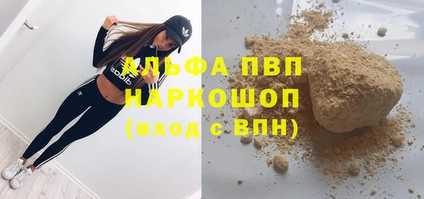 прущие грибы Володарск