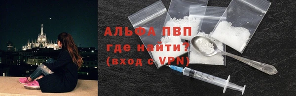 прущие грибы Володарск